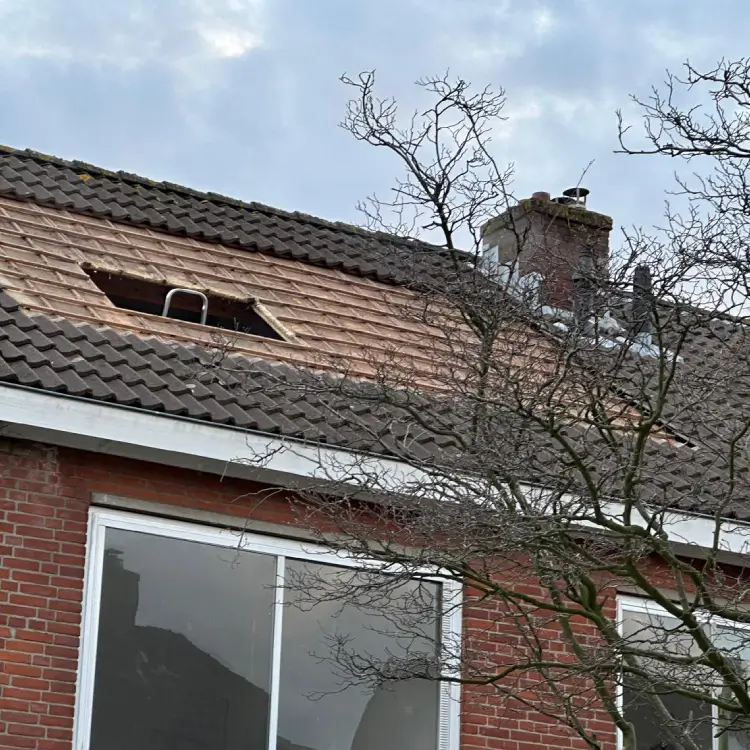 vrouwelijke bouwvakkers